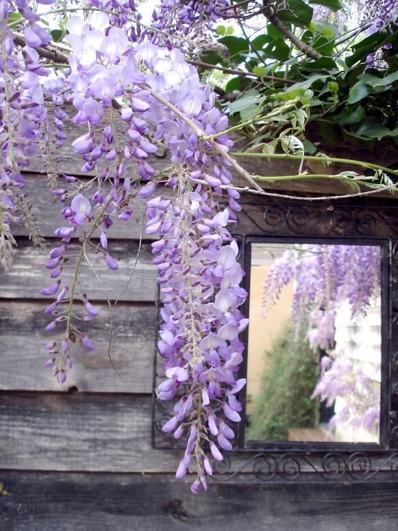 Gîte Au Jardin Meilhan-sur-Garonne Chambre photo