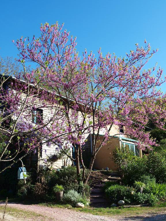 Gîte Au Jardin Meilhan-sur-Garonne Chambre photo