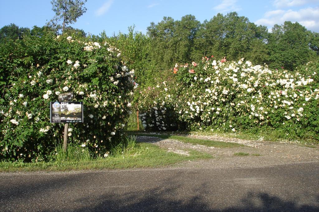 Gîte Au Jardin Meilhan-sur-Garonne Extérieur photo